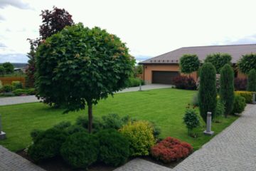 IMG-20181211-WA0003