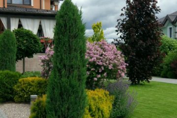 IMG-20181211-WA0004